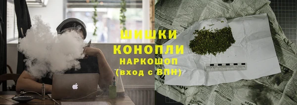 сатива Шадринск