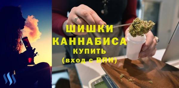 меф Дмитриев