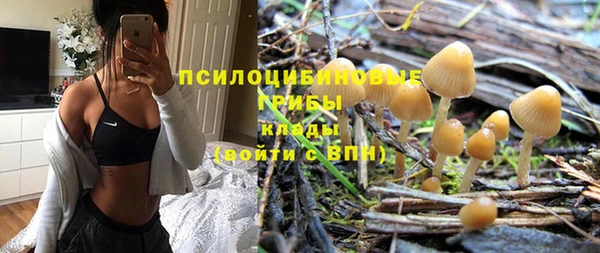 МДПВ Дмитров