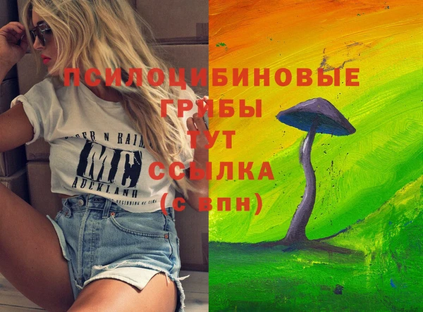 меф Дмитриев