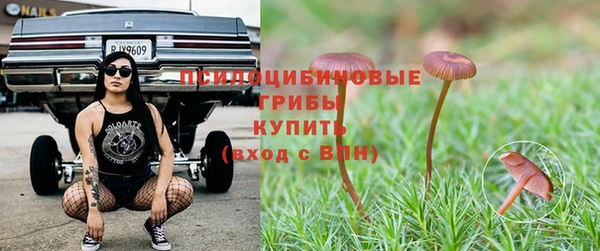 МДПВ Дмитров