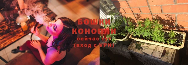 МДПВ Дмитров