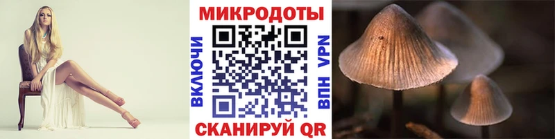 Галлюциногенные грибы Cubensis Петухово